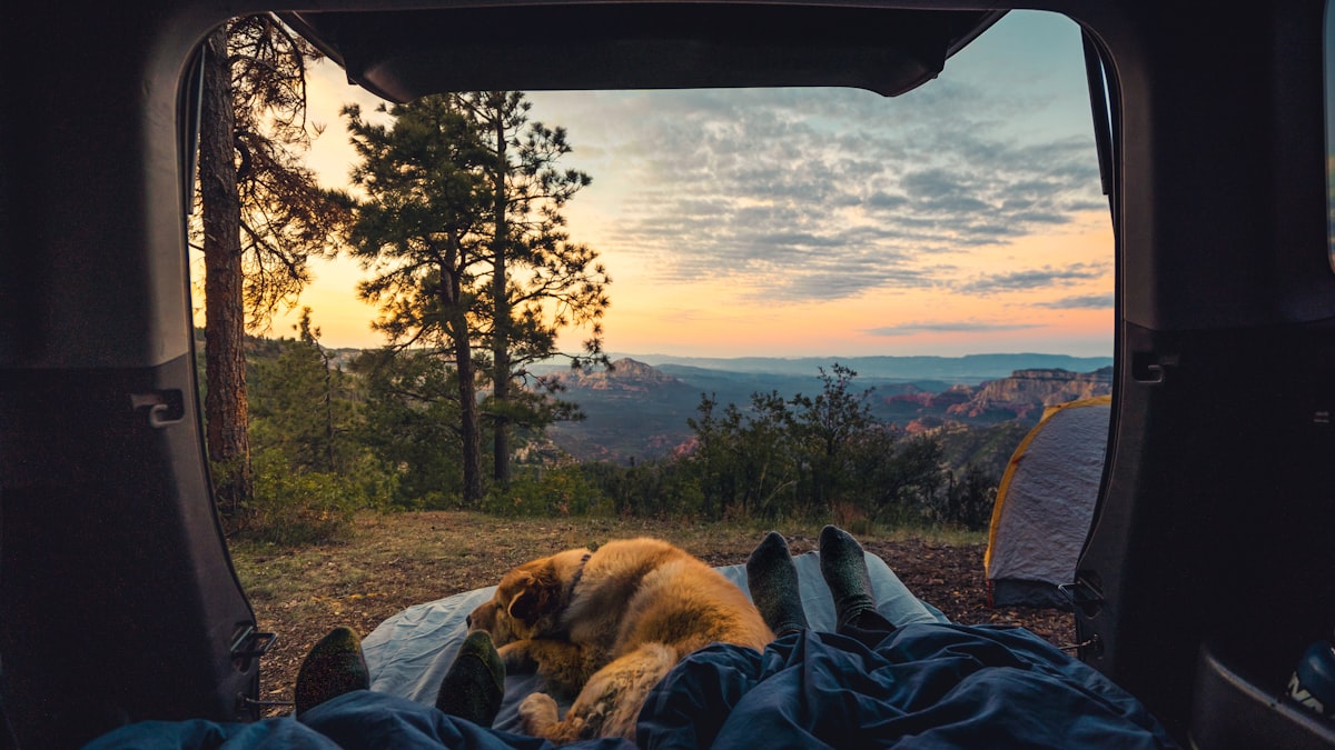 7 Best Cabin Tents of 2026: Stand-Up Family Camping